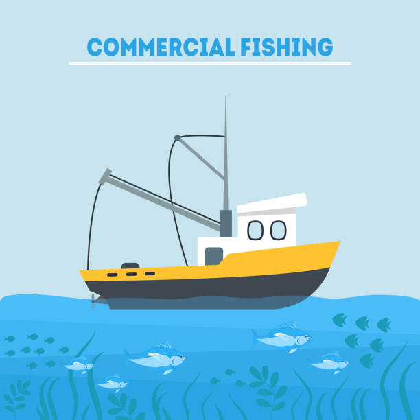 ilustrações, clipart, desenhos animados e ícones de desenhos animados pesca comercial no mar cartão poster. vector - trawler