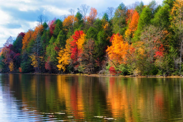 Autumn Colors Along the Shore of Bays Mountain Lake Colorful fall colors reflect along the shoreline of Bay Mountain Lake Park in Kingsport Tennessee. lakeshore photos stock pictures, royalty-free photos & images