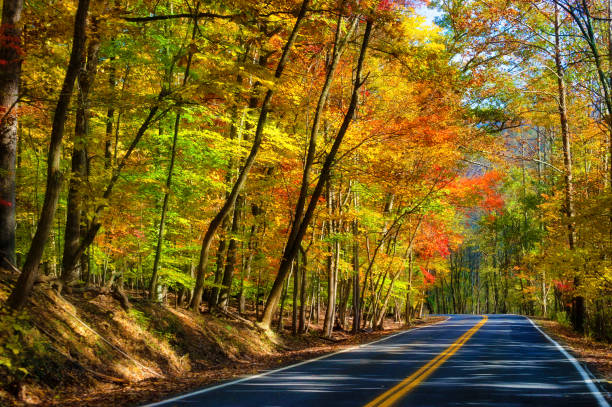 istock Autumn Colors along a road 1067971074