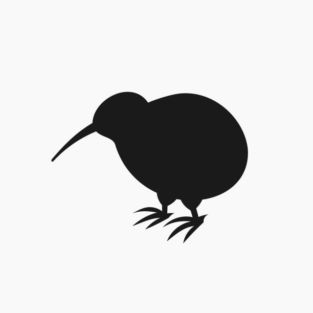 ilustrações, clipart, desenhos animados e ícones de ícone de silhueta de pássaro kiwi - kiwi