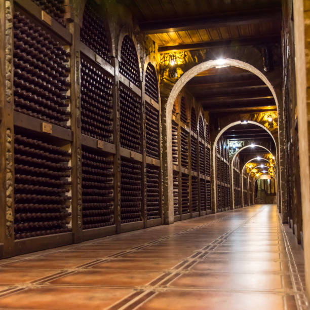 file di bottiglie di vino d'annata in una cantina - bottling plant winery wine industry foto e immagini stock