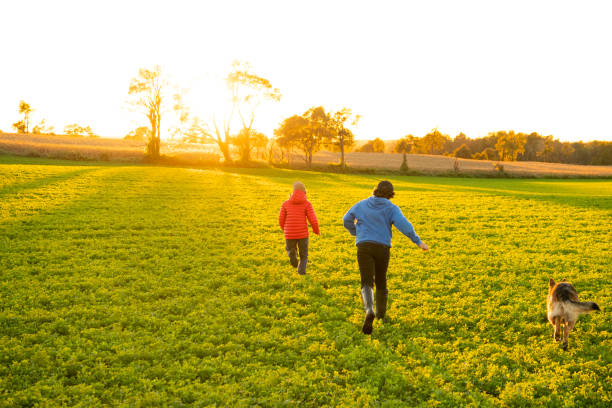 istock Boys playing on a farm field with their German Shepherd. 1067983996