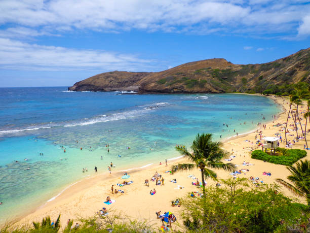 havaí de hanauma bay - hanauma bay hawaii islands oahu bay - fotografias e filmes do acervo