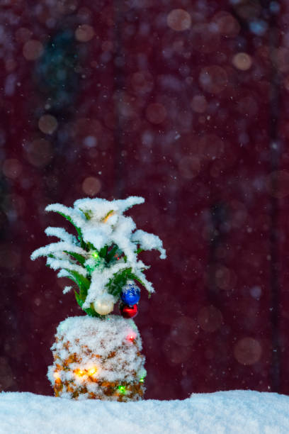 istock A Pineapple with Christmas lights and small baubles outside at night as it snows 1067989266