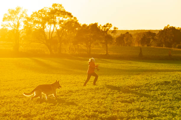 istock A boy running on a farm field with his German Shepherd. 1067989814