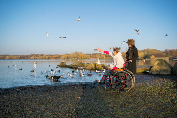 Disabled Female in Wheelchair with Carer Feeding Birds at Lake stock photo