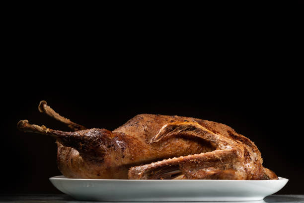 Closeup of a roasted goose on a white plate