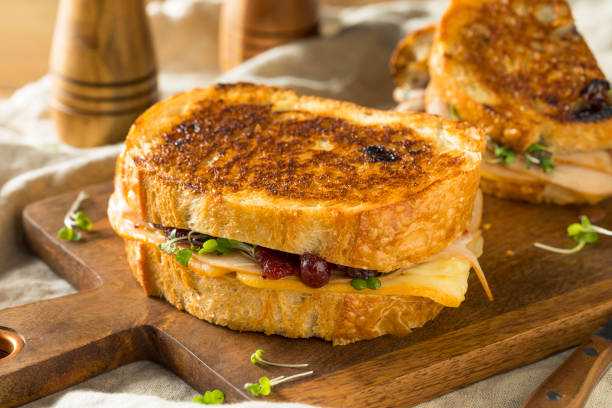 istock Homemade Thanksgiving Turkey Panini 1068006766