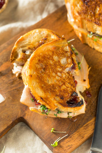 istock Homemade Thanksgiving Turkey Panini 1068007152