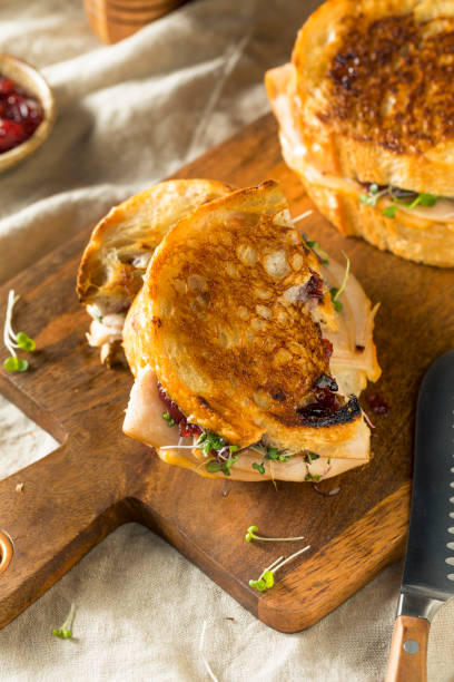 istock Homemade Thanksgiving Turkey Panini 1068009370