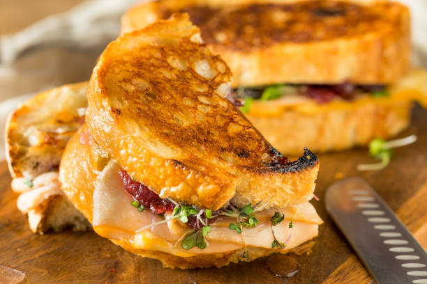 istock Homemade Thanksgiving Turkey Panini 1068009632