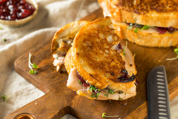 istock Homemade Thanksgiving Turkey Panini 1068009638