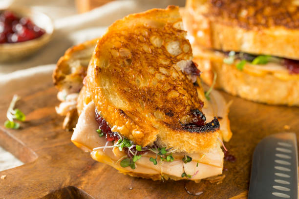 istock Homemade Thanksgiving Turkey Panini 1068009882