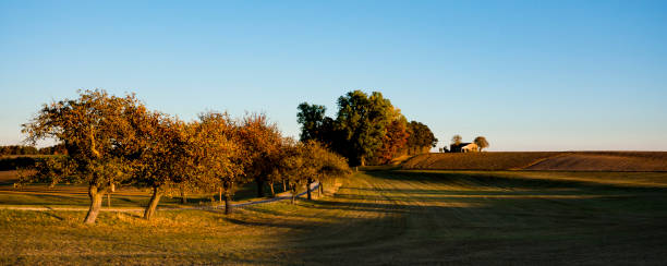 istock autumn scene on the route called Romantic Road, Germany banner 1068020566