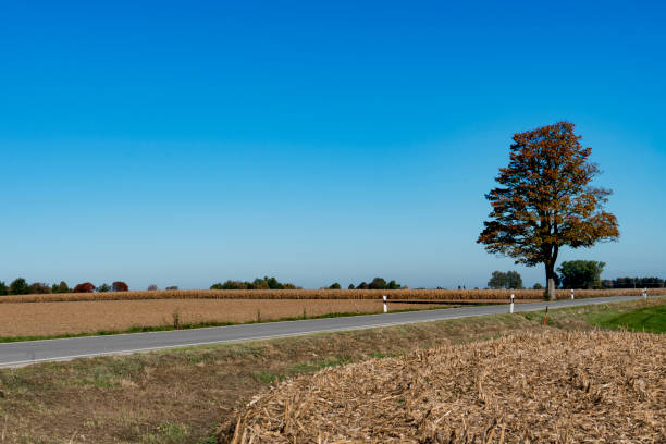 istock hill and corn stubble on route called Romantic Road, Germany panorama 1068020952