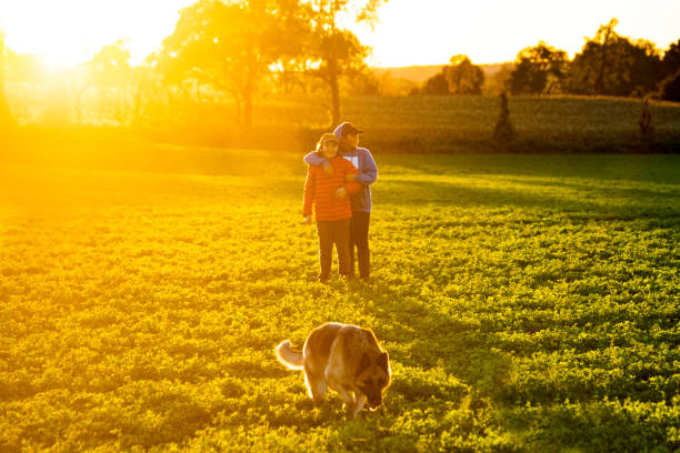 istock Boys playing on a farm field with their German Shepherd. 1068023412