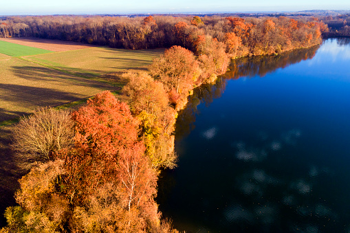 Aerial view of autumn trees by the lake, Baden Wurttemberg, Germany.
