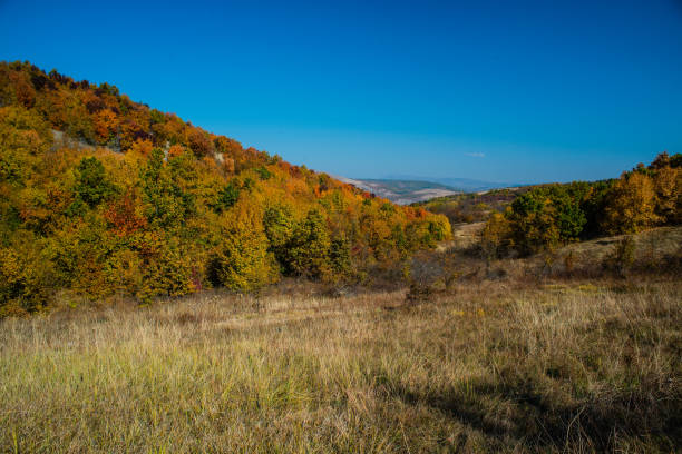 istock Mountain landscape woods,hills, clouds and sky, Serbia 1068027074