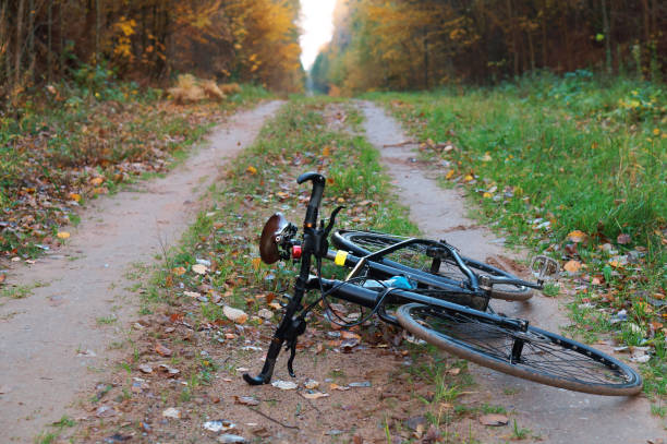 istock the bike in the autumn forest 1068028748