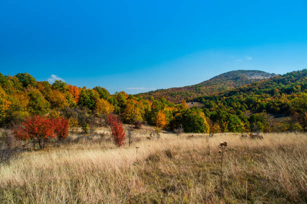 istock Mountain landscape woods,hills, clouds and sky, Serbia 1068028752