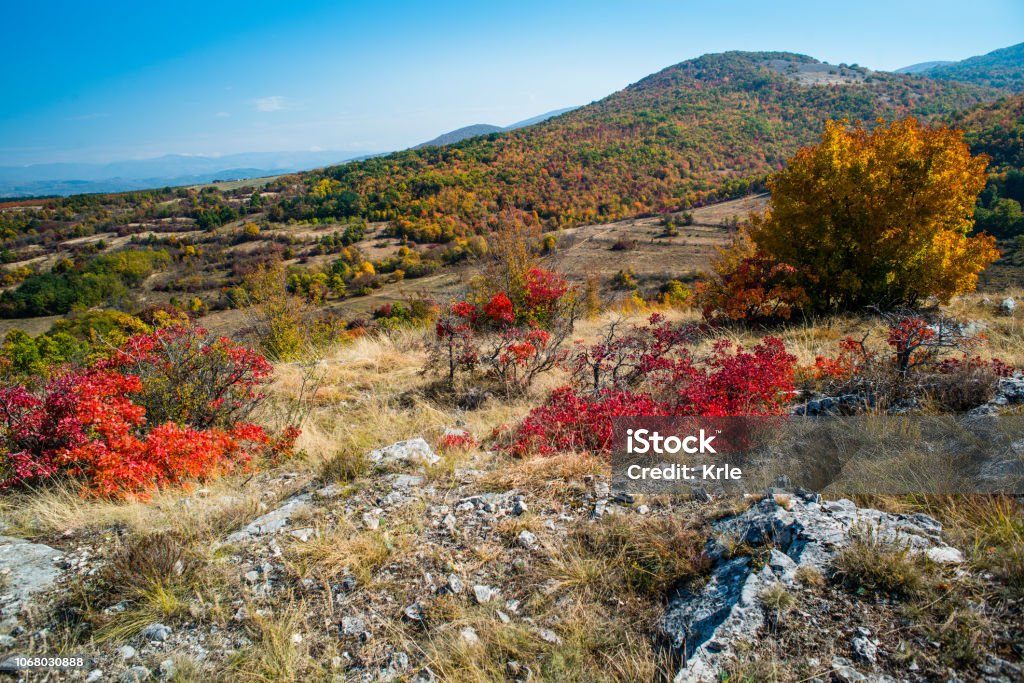 Mountain landscape woods,hills, clouds and sky, Serbia Beatuful lanscape with hills and blue sky of Eastern Serbia Agricultural Field Stock Photo