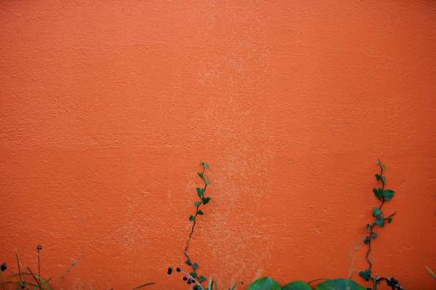 A girly leaf waiting for spring