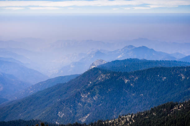 Sequoia National Park in California, USA