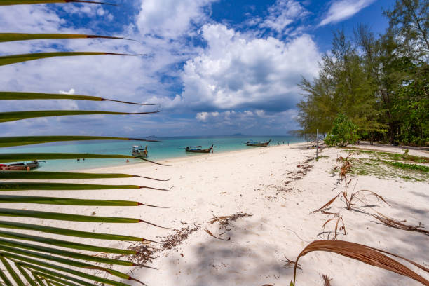 istock View of the PODA beach through palm leaves 1068079948
