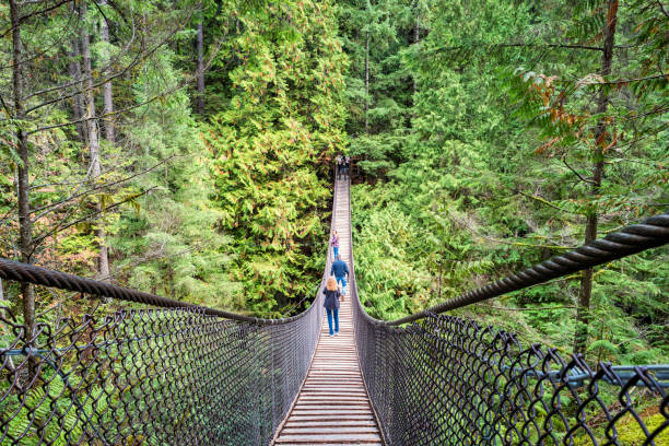 ponte pênsil em lynn canyon park vancouver canada - vancouver suspension bridge bridge people - fotografias e filmes do acervo