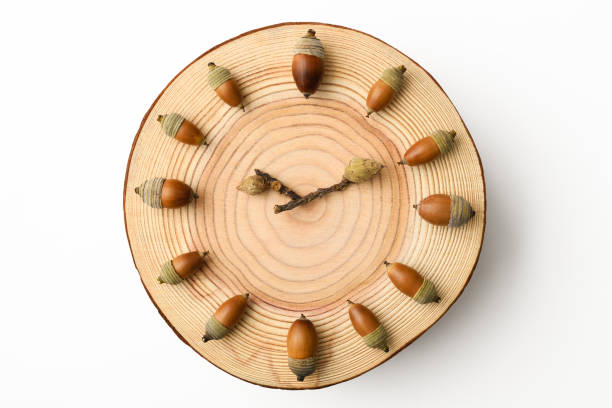 Close-up of Acorn clock, isolated on white with clipping path.