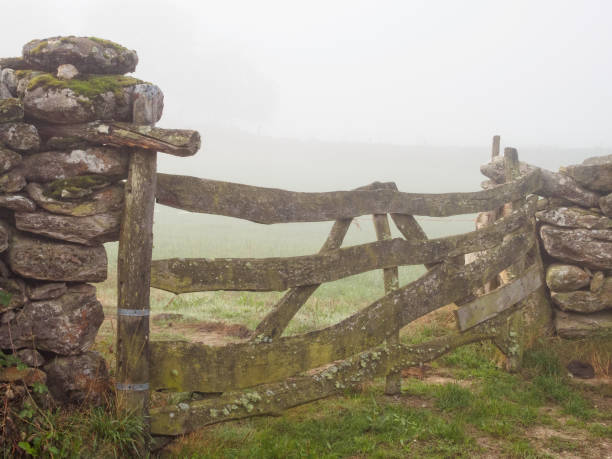 istock Old wooden farm gate - Barbadelo 1068106764
