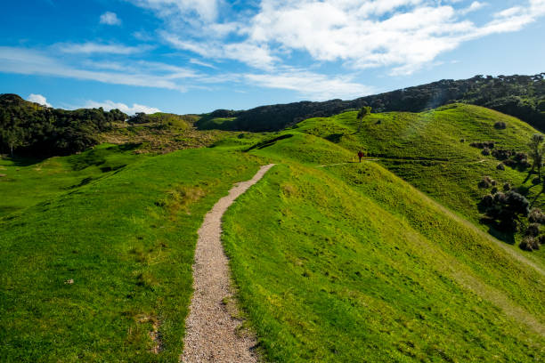 istock Beautiful green meadow mountain with blue sky. 1068122726
