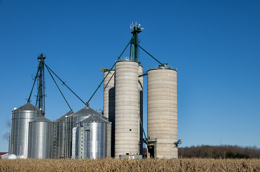 A new farm complex of grain elevators, grain storage bins, and concrete silo, next to a field of corn.