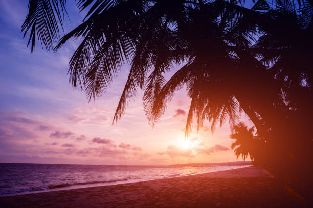 istock Beautiful tropical beach with palm trees. Sunrises and sunsets. Ocean 1068128800