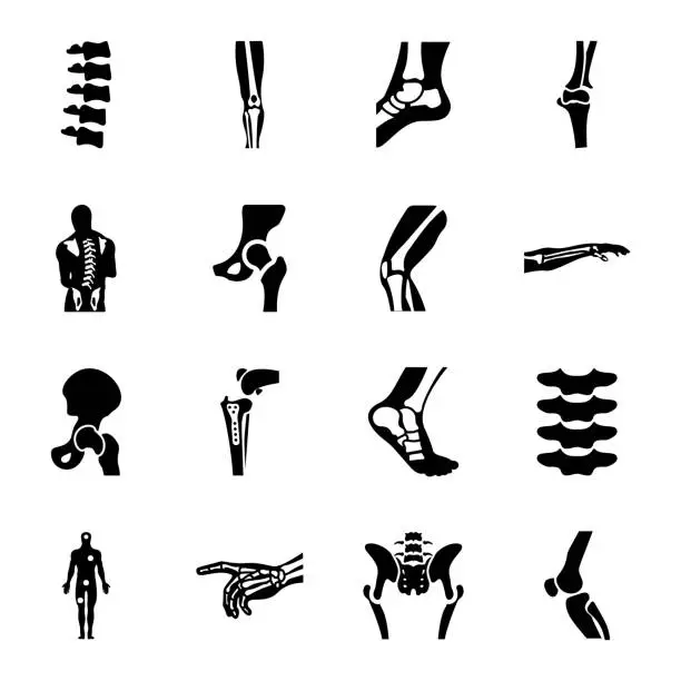 Vector illustration of Human Bones and Spine Solid Vectors Set