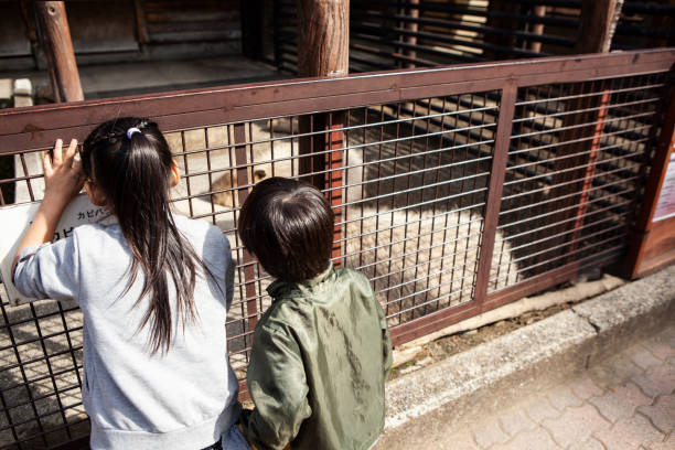 Children watching capybaras at the zoo