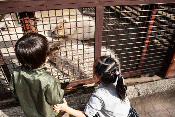 istock Children watching capybaras at the zoo 1068150430