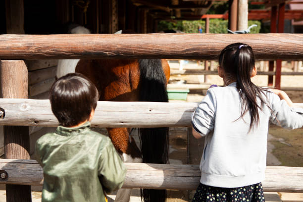 istock Children looking happyly at horses 1068150526