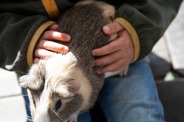 Children who are pretty cute hamster