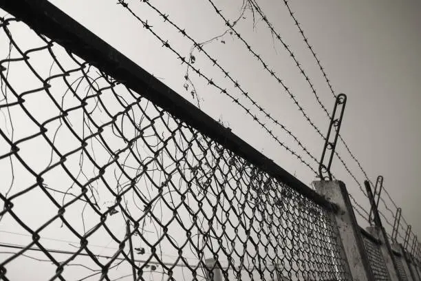 wire, fence, barbed, prison, background, isolated, border, white, sky, protection, safety, sharp, silhouette, barbwire, security, military, private, barrier, metal, guard, wall, st