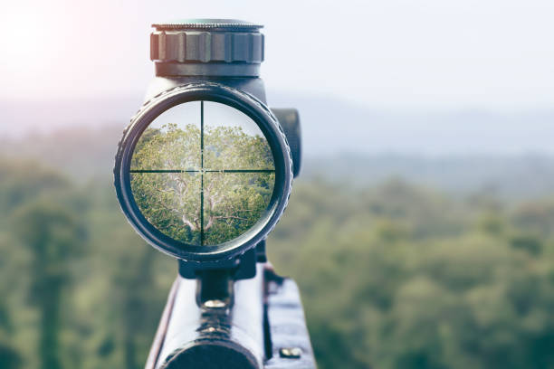 rifle target view on Natural Background. Image of a rifle scope sight used for aiming with a weapon rifle target view on Natural Background. Image of a rifle scope sight used for aiming with a weapon sniper stock pictures, royalty-free photos & images