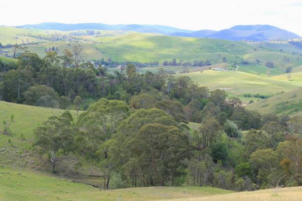 istock Rolling landscape of East Gippsland Australia 1068203942