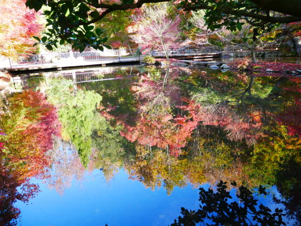 istock Japanese autumn leaves 1068212186
