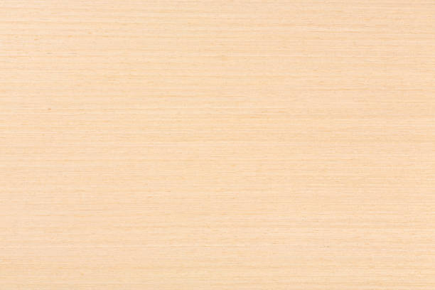 istock Maple wood for natural background. Maple wood texture on macro. 1068241550