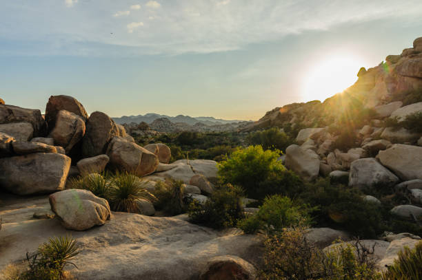 istock Joshua Tree Barker Dam Area near Sunset 1068243264