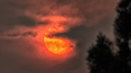 The Sun Obscured by Wildfire Smoke, Humboldt County, California, August 2017