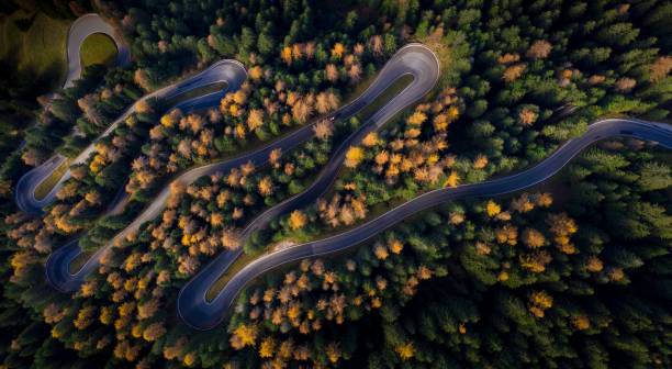 vista aerea della strada sinuosa nella foresta autunnale - lumber industry timber tree redwood foto e immagini stock