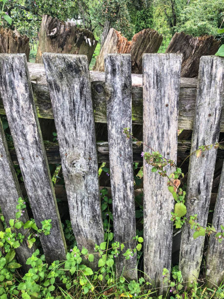 istock aged wooden fence as a background 1068270132