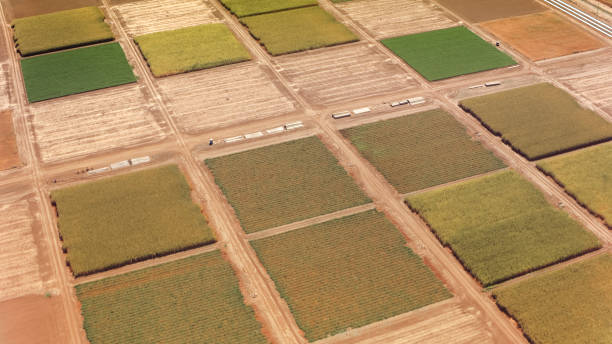 istock Aerial view of large fields in California 1068271114