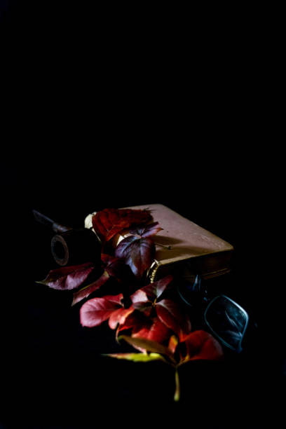 Autumn, fall leaves, evening relaxing reading a book and smoking an old pipe. Seasonal and still life concept.